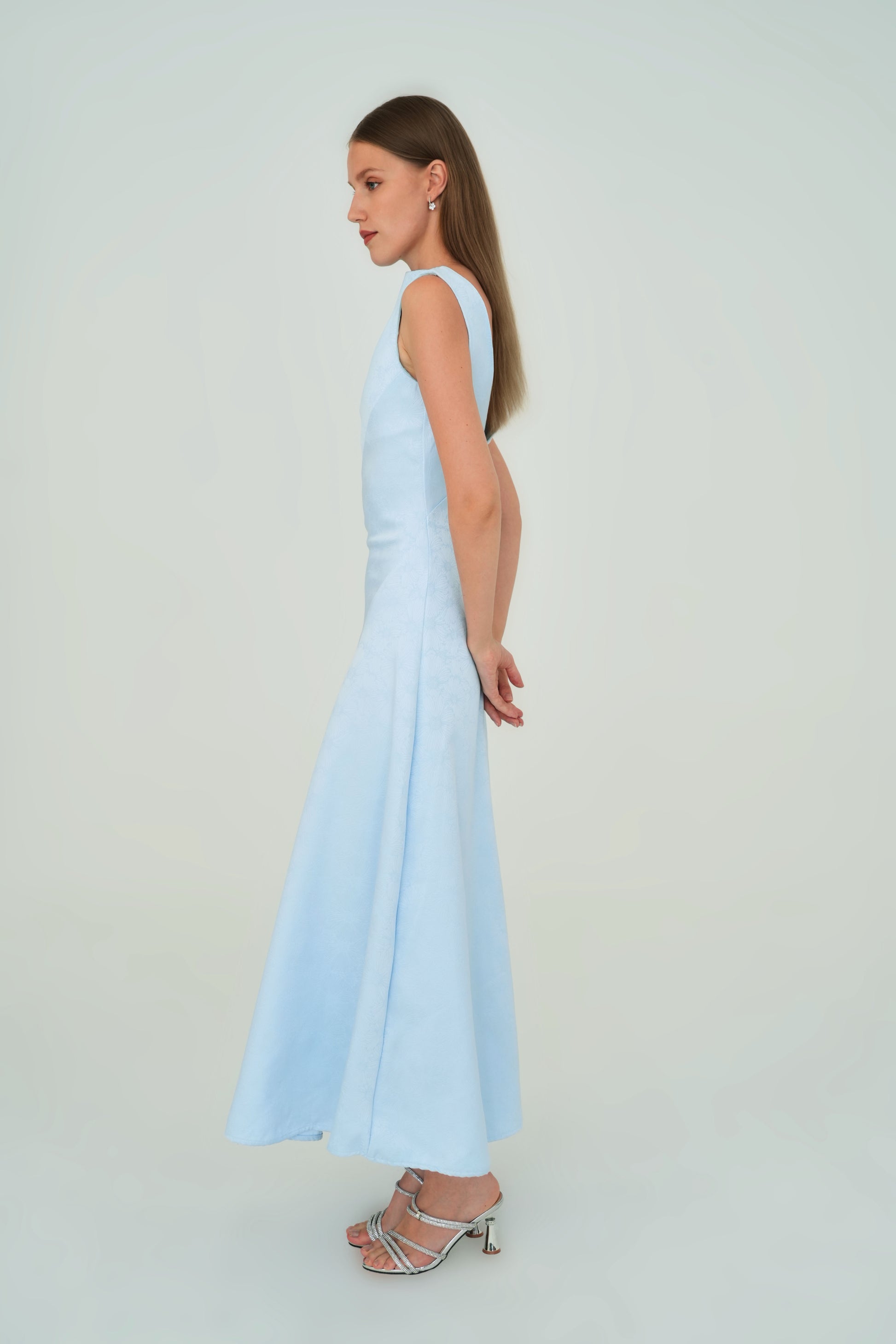 Dasiney Dress